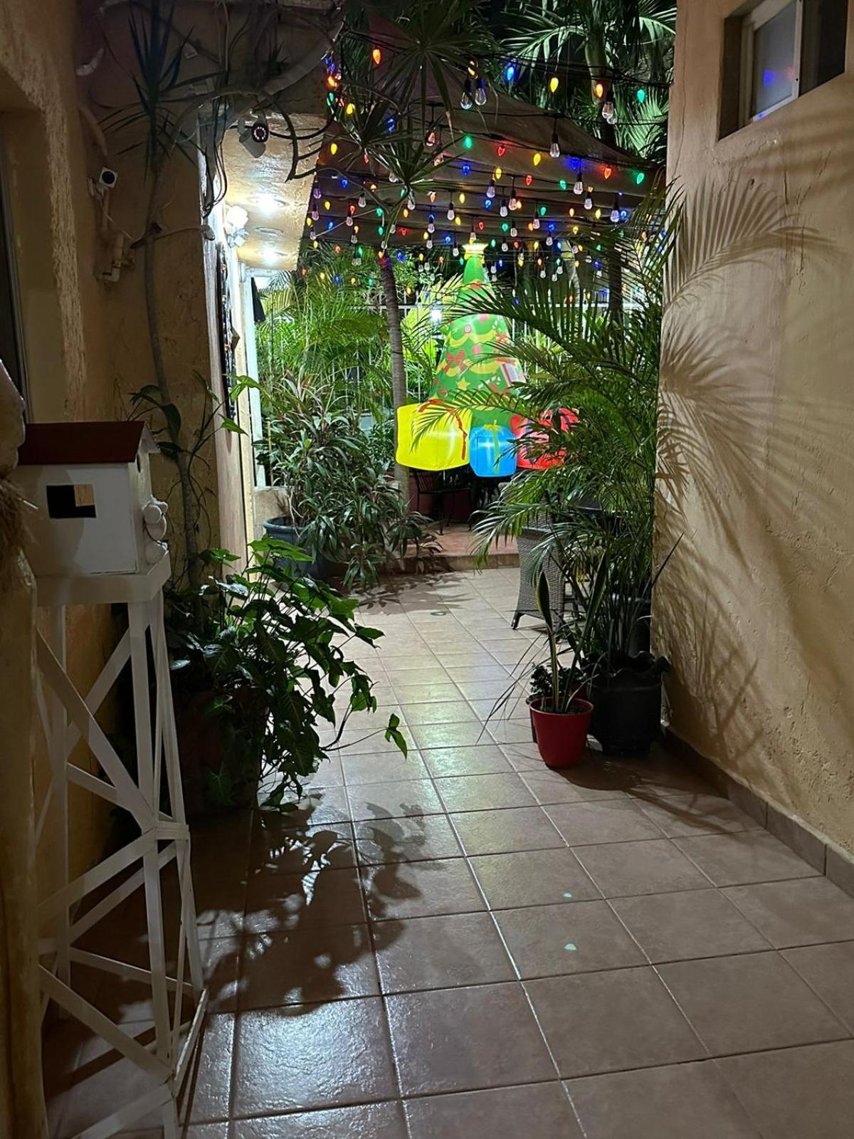 Hotel Posada Marcas カンクン エクステリア 写真